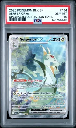 Pokemon Serperior ex PSA 10 Gem Mint Black Bolt #164 Foil SIR 2025 - Image 1