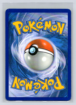 Hitmonchan HGSS24 Holo Promo Pokemon Card – HeartGold SoulSilver - Image 2