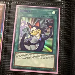 Mimicat (Purple) DLCS-EN078 Dragons of Legend: The Complete Series 1st Edition - Image 1