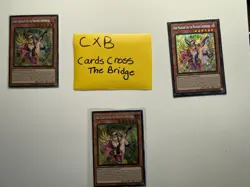 Yu-Gi-Oh! X3 ALIN-004 Secret Rare Dark Magician Girl the Magician's Apprentice - Image 3