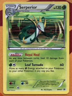 Pokemon Card - Serperior - Holo Black Star Promo (BW20) Black & White *LP* - Image 1