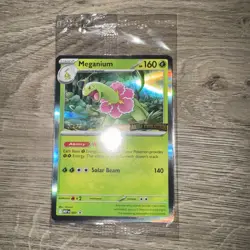 Pokemon TCG - Mega Evolution STAFF Promo 4 Card Bundle SEALED - Image 1