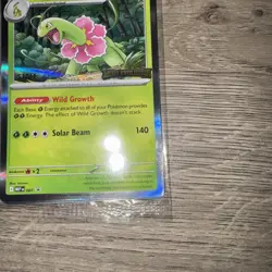 Pokemon TCG - Mega Evolution STAFF Promo 4 Card Bundle SEALED - Image 2