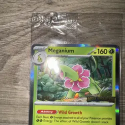 Pokemon TCG - Mega Evolution STAFF Promo 4 Card Bundle SEALED - Image 4