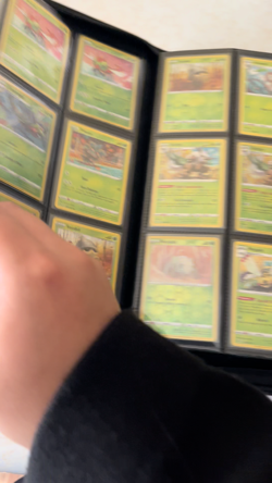 Pokemon Vivid Voltage NEAR Complete MASTER SET Binder Amazing Rares + Holos - Image 2