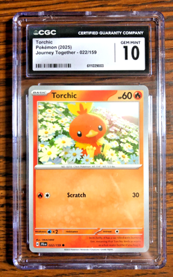 Torchic Regular Common #022 - CGC GEM MINT 10 - Journey Together - Pokemon TCG - Image 1