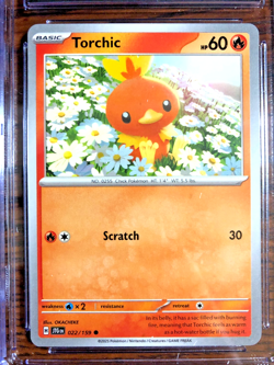 Torchic Regular Common #022 - CGC GEM MINT 10 - Journey Together - Pokemon TCG - Image 2