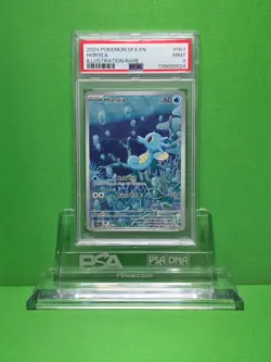 POKEMON 2024 SHROUDED FABLE HORSEA ILLUSTRATION RARE 067 PSA 9 - Image 1