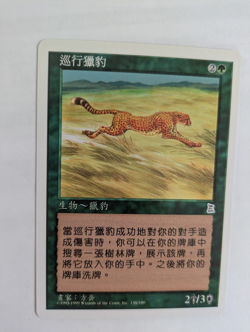 Chinese Hunting Cheetah Portal 3K MTG NM Free shipping with tracking - Image 1