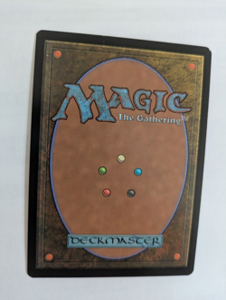 Chinese Hunting Cheetah Portal 3K MTG NM Free shipping with tracking - Image 2