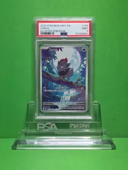 POKEMON 2025 WHITE FLARE ZORUA ILLUSTRATION RARE 142 PSA 9 - Image 1