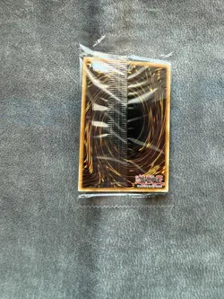 Yugioh Enlightenment Paladin TN23-EN010 SEALED Quarter Century Rare QCR - Image 2