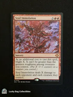 Soul Immolation Lorwyn Eclipsed MTG NM - Image 1