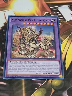 YuGiOh! Amazoness Pet Liger King DABL-EN098 Common 1st Edition NM - Image 1
