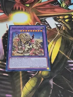 YuGiOh! Amazoness Pet Liger King DABL-EN098 Common 1st Edition NM - Image 2