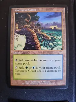 Yavimaya Coast 143/143 Apocalypse Magic the Gathering MTG LP - Image 1