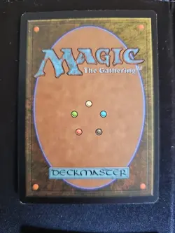 Yavimaya Coast 143/143 Apocalypse Magic the Gathering MTG LP - Image 2