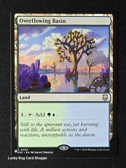 Overflowing Basin MTG The List Reprints Regular - Image 1