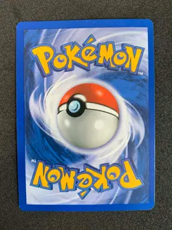 🔥 Pokemon Southern Islands Complete Set (18/18) w/ Binder - Vintage WOTC🔥 - Image 4