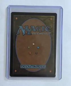 Plains (Borderless) FOIL X1 EOE MTG Edge Of Eternities 262 - Image 2