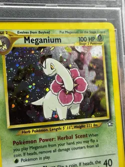 Pokemon PSA 8 NM/MINT 2000 Meganium 10/111 Neo Genesis Holo Card - Image 2