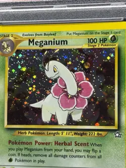 Pokemon PSA 8 NM/MINT 2000 Meganium 10/111 Neo Genesis Holo Card - Image 4