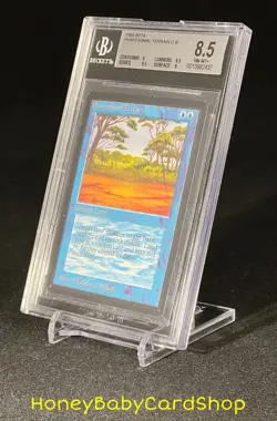 MTG Limited Edition Beta 1993 Phantasmal Terrain BGS 8.5 NM/MT+ Old School 93/94 - Image 3