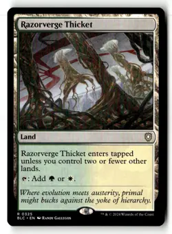 1x MTG Razorverge Thicket NM Normal R Commander: Bloomburrow 325 - Image 1