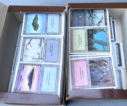 Magic The Gathering HUGE Lot Revised 4th Edition Ice Age Legends FE 19k Cards - Image 4