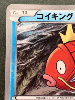 Pokemon card Magikarp 210/BW-P Gym Challenge Promo 2013 Pokemon TCG Japan Rare - Image 2