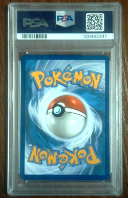 PSA 10 Morpeko #206/182 Pokemon Temporal Forces 2023 - Image 2