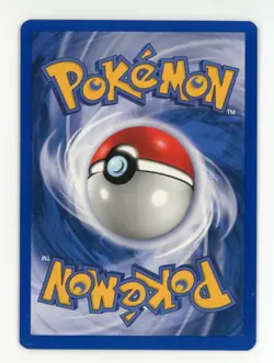 Shuckle 72/111 1st Edition Neo Genesis Common Pokemon - NM / LP - Image 2
