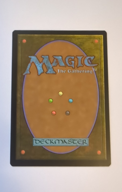 {1x} ~ Raugrin Triome ~ [Borderless] NM MTG EDH Rare Ikoria IKQ 311 *Startropic* - Image 2