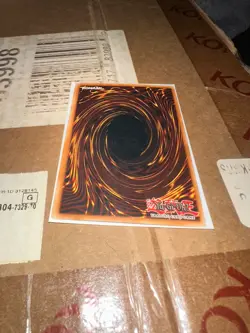 Ehren, Lightsworn Monk LODT-EN082 Light of Destruction Unlimited LP - Image 4