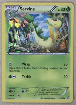 Servine - (Cracked Ice Holo) 3/114 Miscellaneous Cards & Products Holo - Image 1