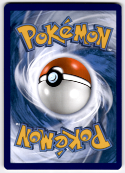 Pokemon - Black Star Promo - Charmander - SWSH232 (NM) (US) FRESH!!! - Image 2