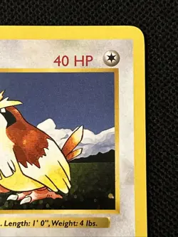 Pokemon Pidgey 057/102 (1st Edition) Base Set (Shadowless) Regular *Near Mint* - Image 4
