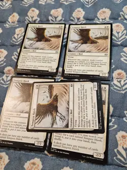 Tempest Hawk (Set of 5) Tarkir Dragonstorm 0031 - MTG Magic - Image 2