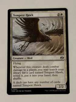 MTG Tempest Hawk - Tarkir: Dragonstorm LP - Image 1