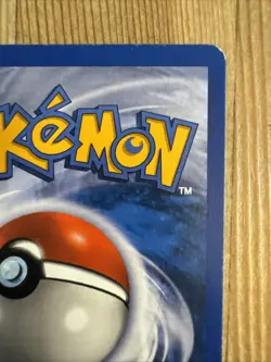 Gyarados 11/144 Skyridge Rare Non-Holo Vintage WOTC eReader Pokemon TCG LP/MP - Image 4