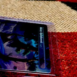 x1 Misty Rainforest SPG MTG 111 FOIL BORDERLESS MYTHIC M/NM 1x - Image 5