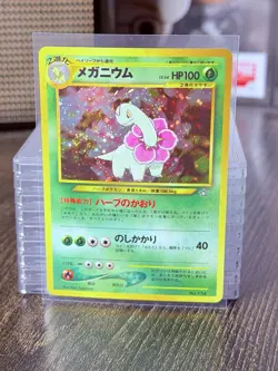 Pokemon Vintage Holo Meganium #154 Neo Premium File 1 Japanese LP/NM - Image 1