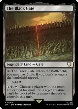 ~ The Black Gate ~ NM ~ ~ MTG ~ - Image 1