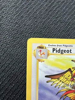 Pokemon Card Pidgeot 24/64 Jungle Non Holo Rare WOTC LP - Image 2