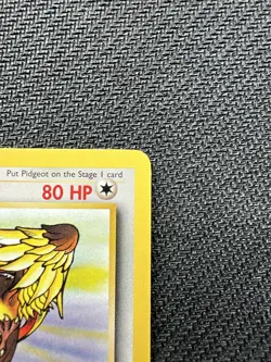 Pokemon Card Pidgeot 24/64 Jungle Non Holo Rare WOTC LP - Image 3