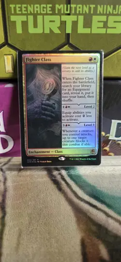 Fighter Class Adventures in the Forgotten Realms Foil - Image 1