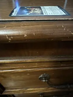 Appa, Steadfast Guardian Avatar: The Last Airbender Regular - Image 5