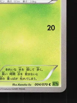 Lotad 004/070 Unlimited LP Tidal Storm Japanese Pokemon Card TCG - Image 3