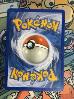 Pachirisu~ Tomokazu Komiya Gallery ~ Pokemon Cards - Image 2