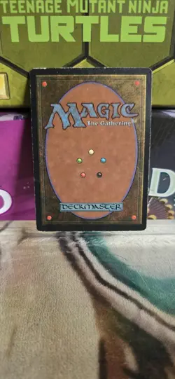 Mtg-Undiscovered Paradise -Visions -Regular - Image 2